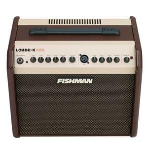 1565422495986-48.Fishman, Acoustic Guitar Amplifier, LoudBox Mini PRO-LBX-UK5 (3).jpg